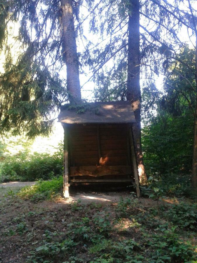 Am Neckarsteig Neckarsteinach