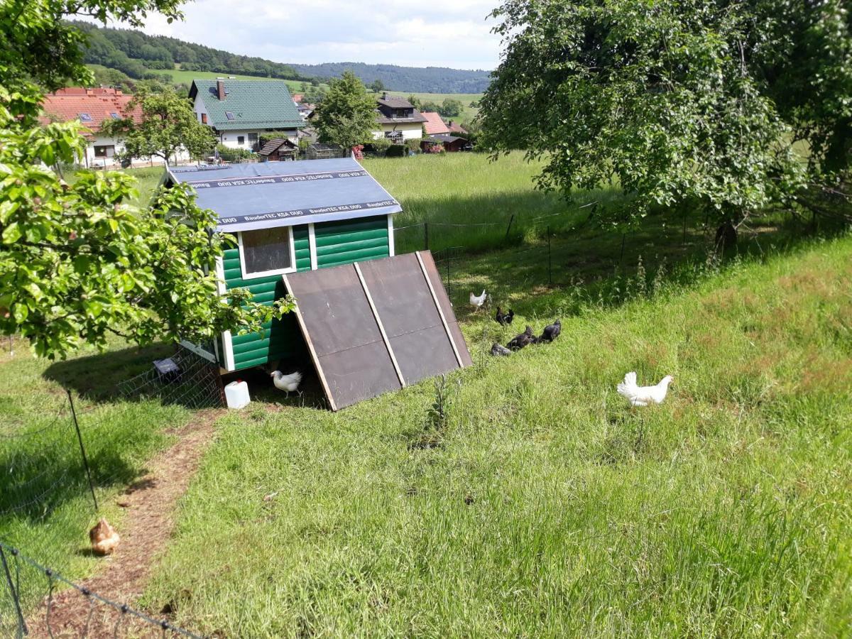 Am Neckarsteig